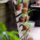 Herb Garden Pallet Tutorial