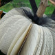 Pumpkin Book