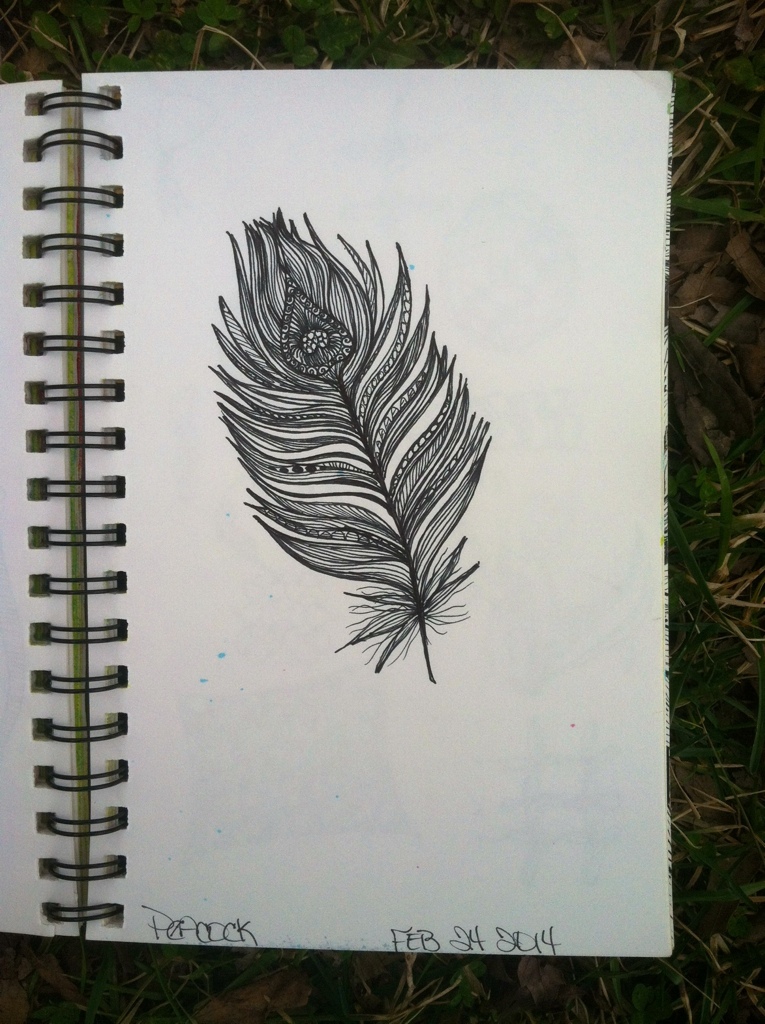 Sketchbook : Peacock Feather
