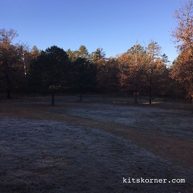 We woke up to frost and freezing temperatures this morning!